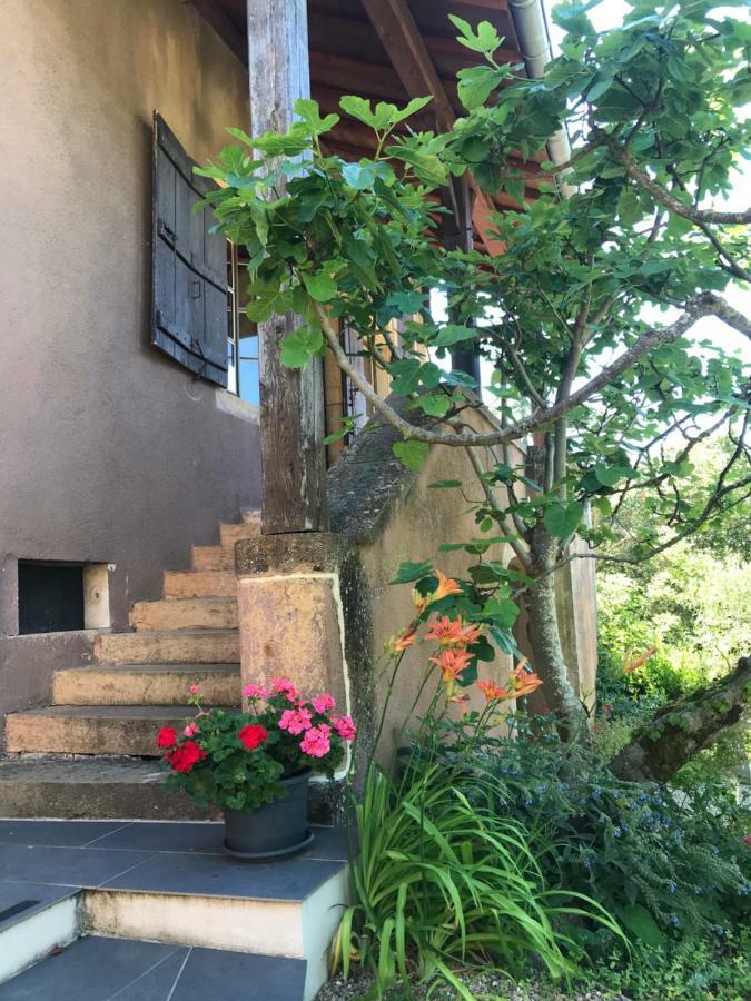 Bed and Breakfast Chez Sylvie Et Thierry Royer Экстерьер фото
